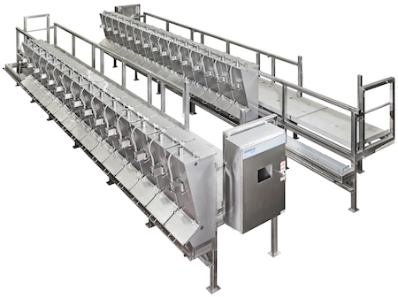 food manufacturing line